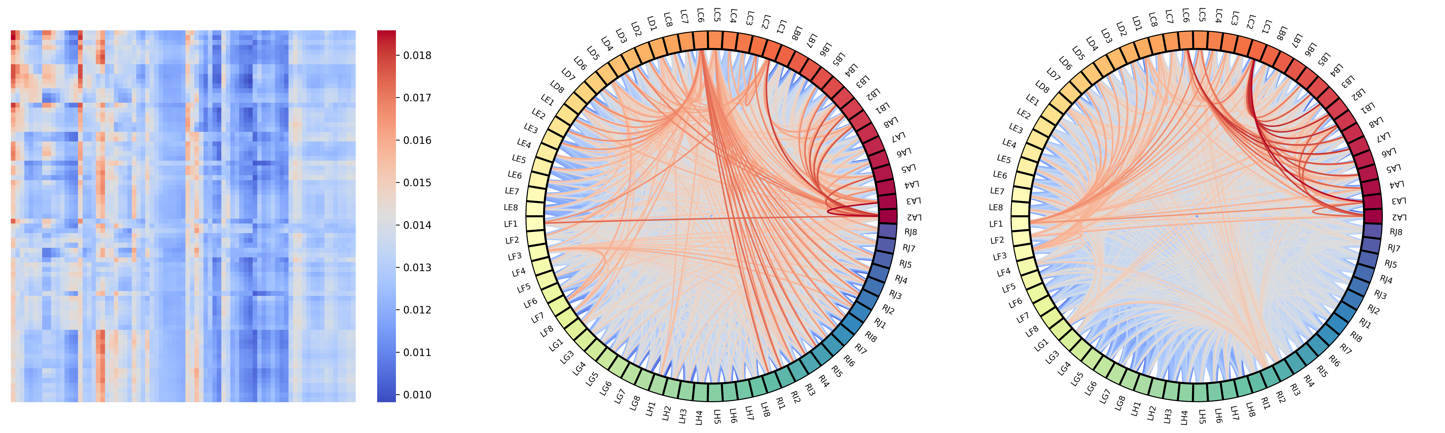Attention map seen as a digraph in a Transformer encoder for sEEG analysis
